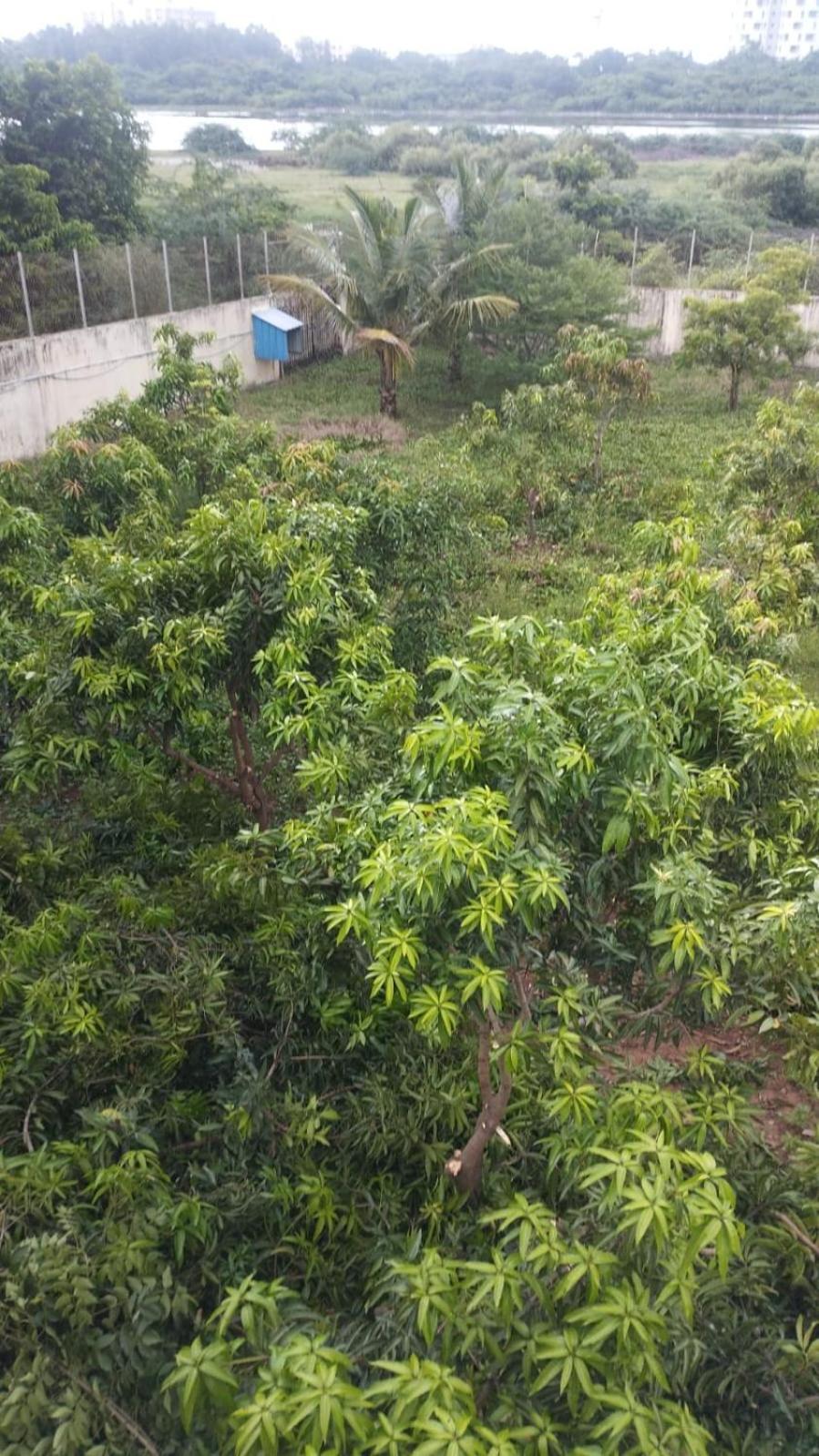 The Lake Farm House Villa Chennai Luaran gambar